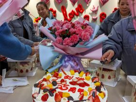 乐动网站举办三八妇女节活动